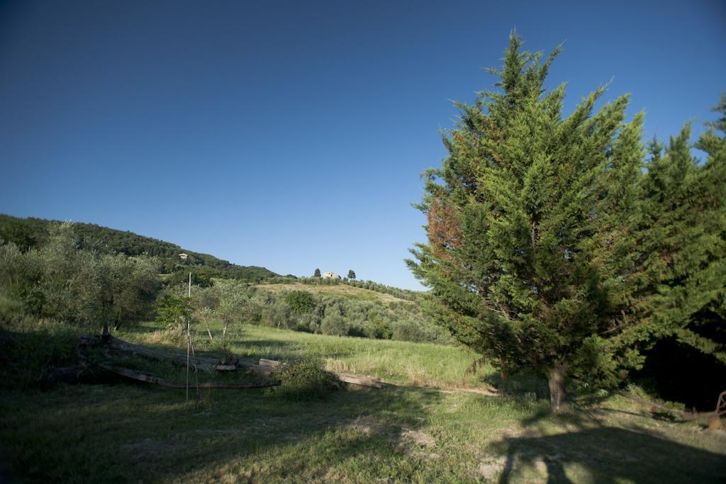 Villa Agriturismo La Pieve Pelago Exterior foto